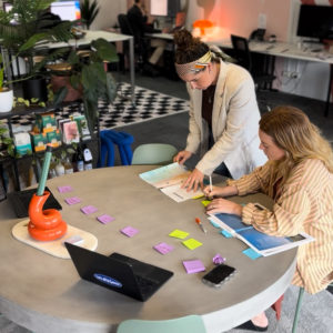 3 x Business Development Consulting Sessions